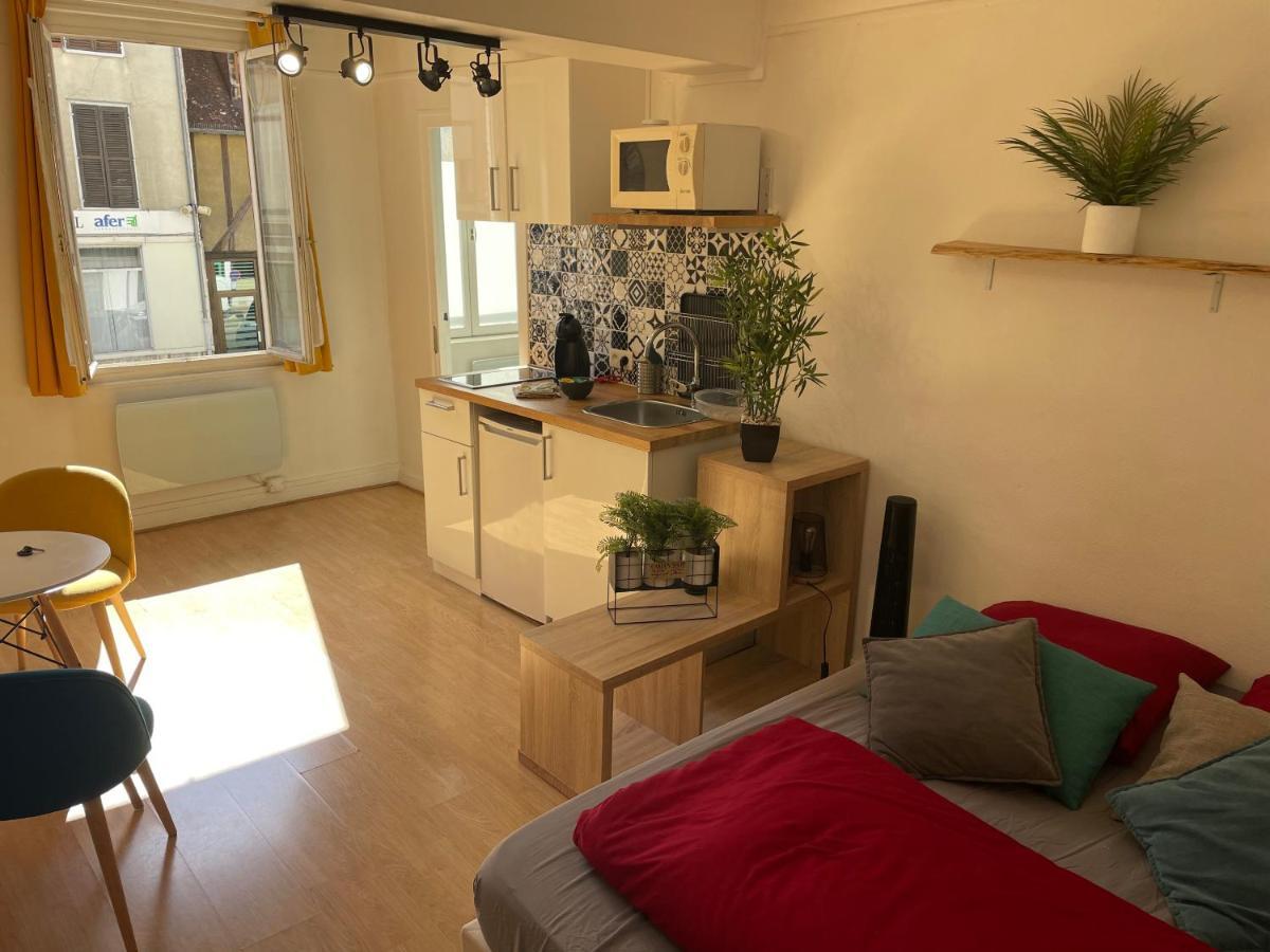 Studio Chaleureux Le Coeur -Troyes Centre Ville Eksteriør billede
